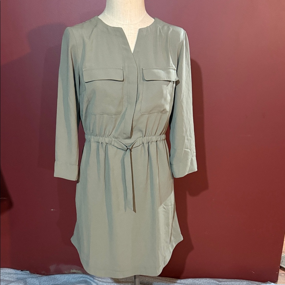Elegant Olive Green Women's Dress